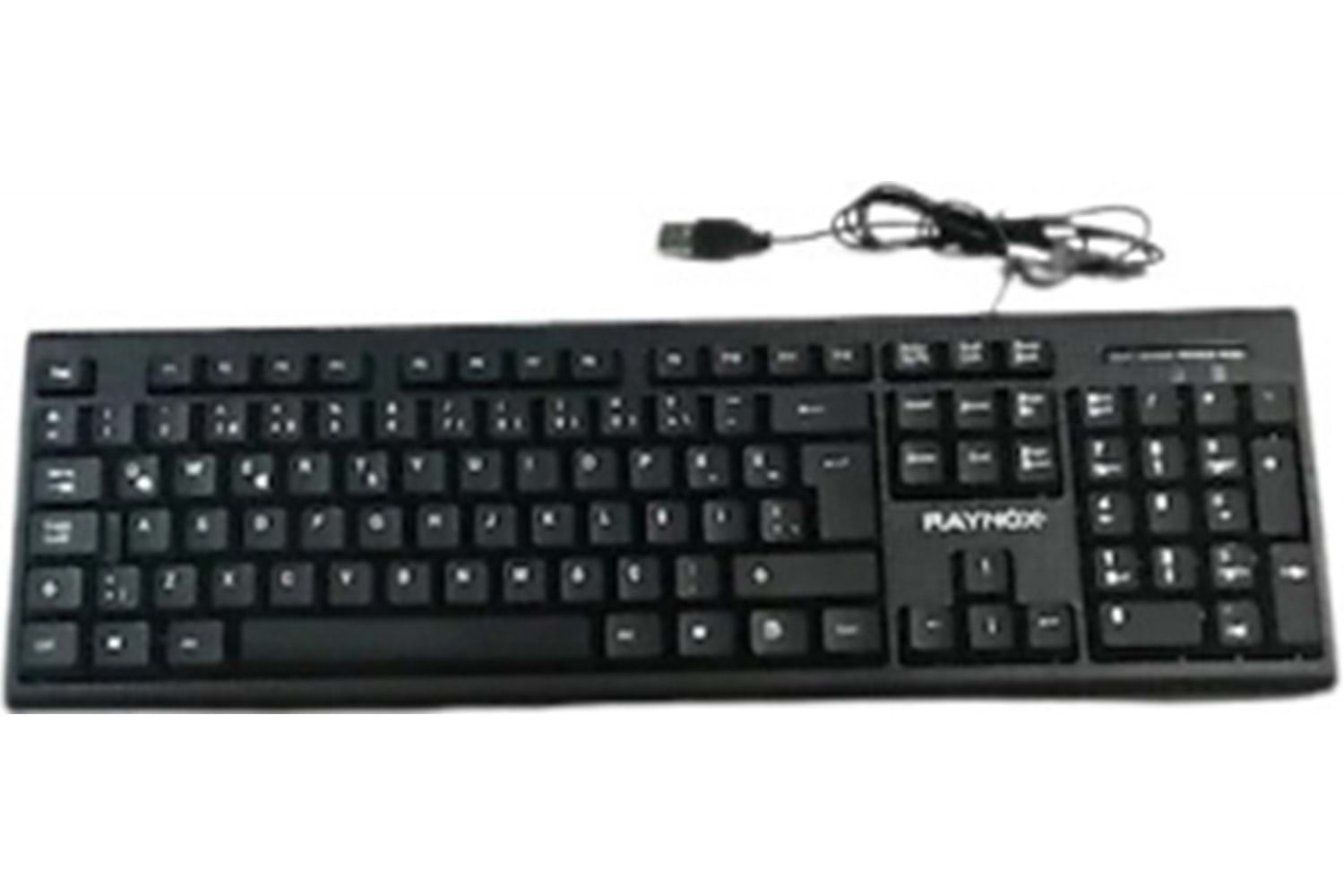 Raynox RX-K05 F Standart Kablolu Klavye RX-K01