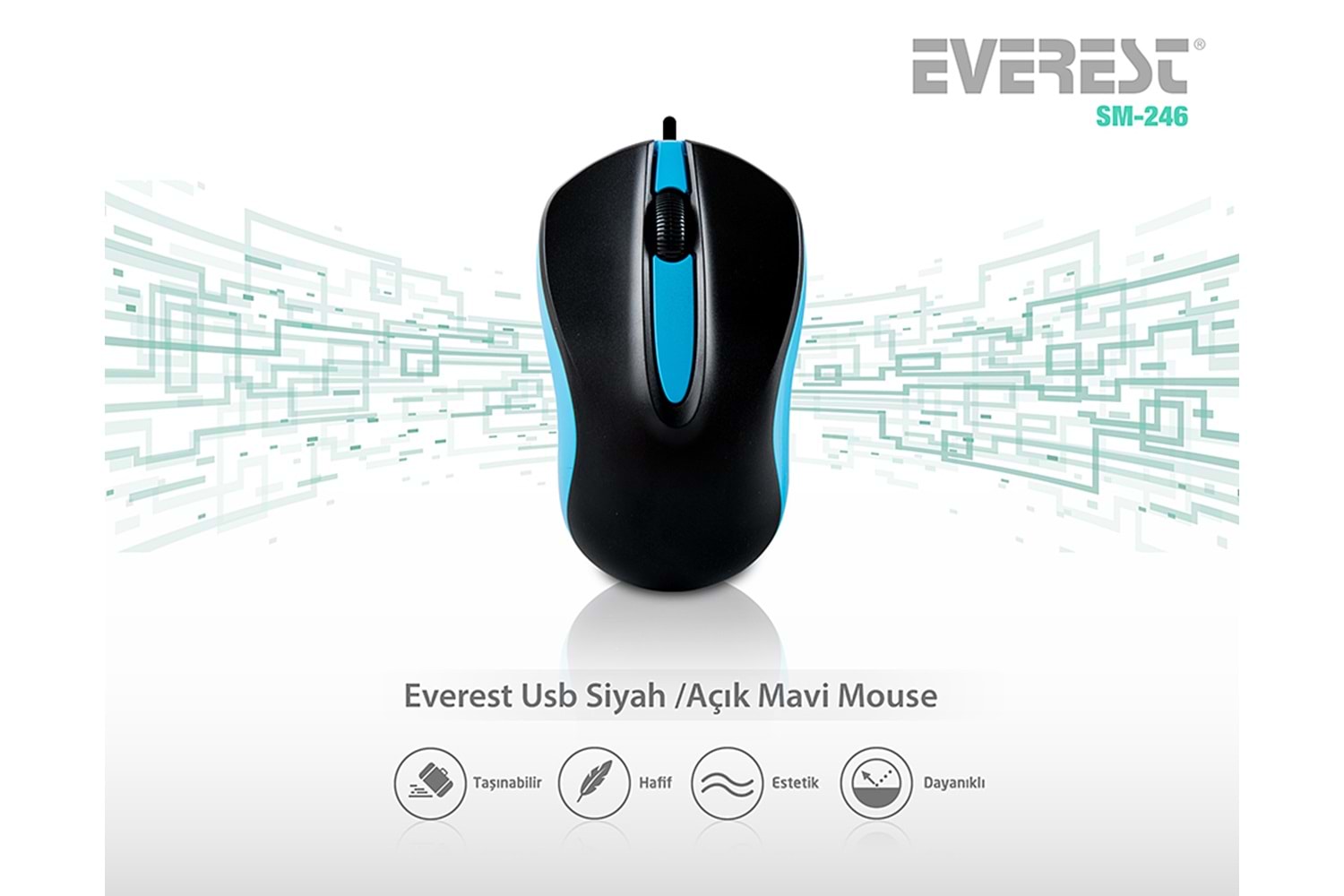 EVEREST SM-246 RENKLI USB MOUSE MAVİ
