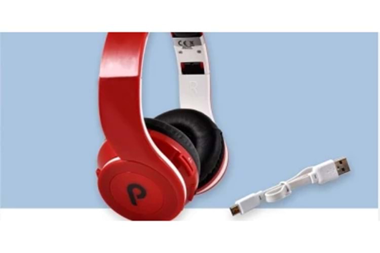 PLATOON PL-2422 BLUETOOTH KULAKLIK
