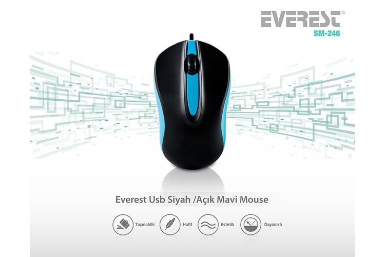 EVEREST SM-246 RENKLI USB MOUSE MAVİ