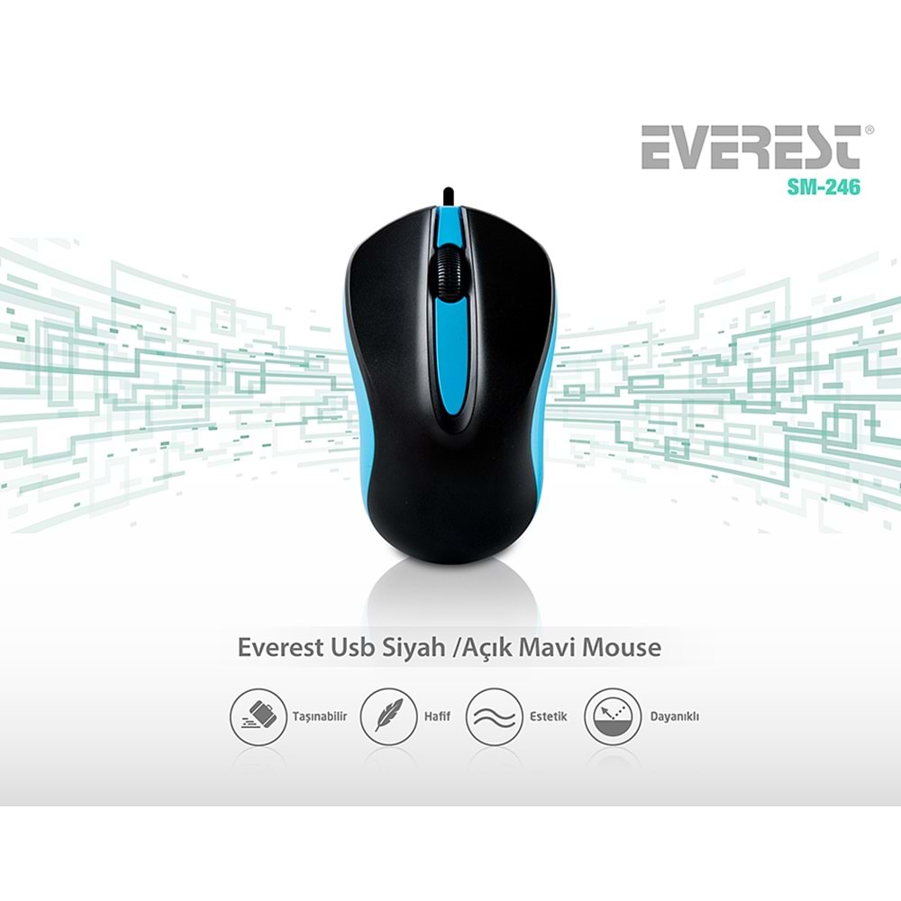 EVEREST SM-246 RENKLI USB MOUSE MAVİ