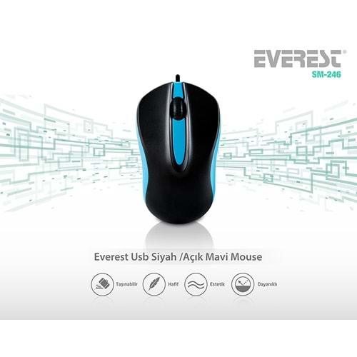 EVEREST SM-246 RENKLI USB MOUSE MAVİ