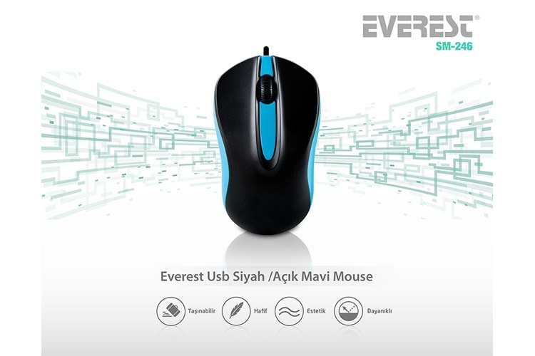 EVEREST SM-246 RENKLI USB MOUSE MAVİ